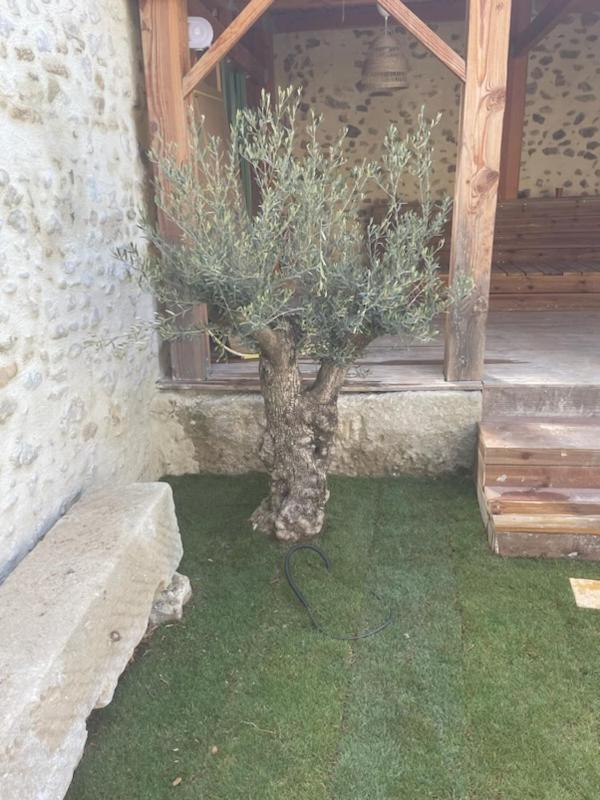 Drome Provencale Maison Familiale Calme Dans Village Valreas Exterior photo